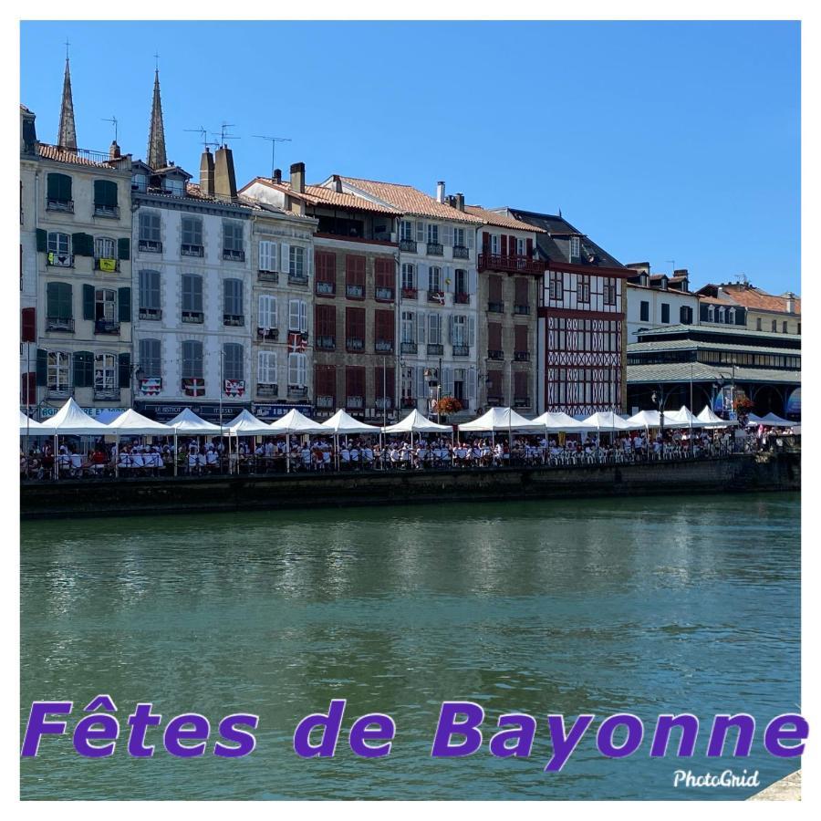 Chambre D'Hote Cosy Hiriburu Saint-Pierre-dʼIrube Dış mekan fotoğraf